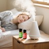 Fruit Fragrance Oils, 6x10ml Summer Essential Diffuser Oils Set, Aromtopia