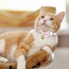 Cat Collars, Uadonile 2pcs Belt Adjustable Cat Collar Breakaway Cat