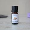 Aroma Theory | Frankincense Essential Oil 5ml - Grounding &
