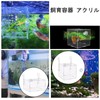 Acrylic Isolation Box, Aquarium Divider, Medaka Box, Fry Isolation Case,