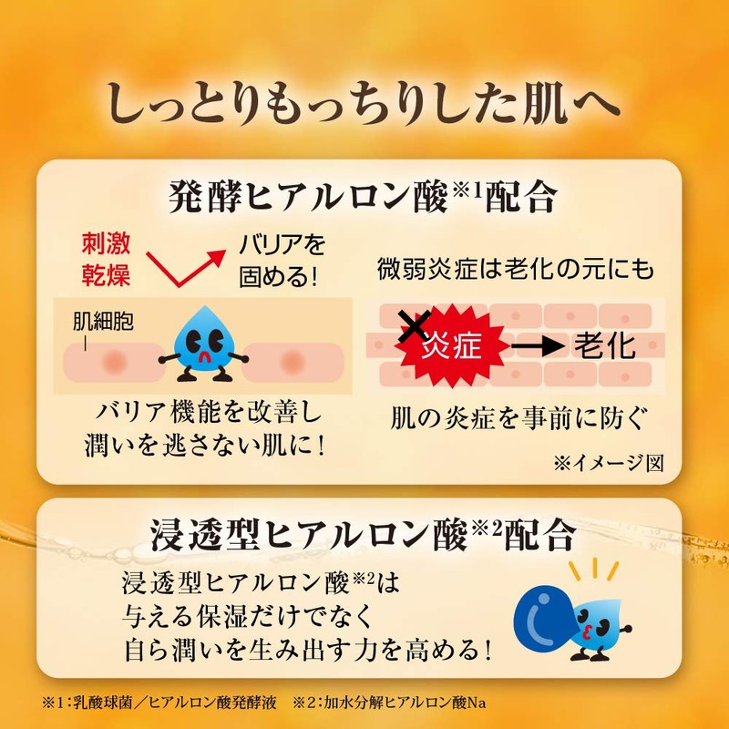 Hada Labo Gokujun Premium Hyaluronic Cream 50g