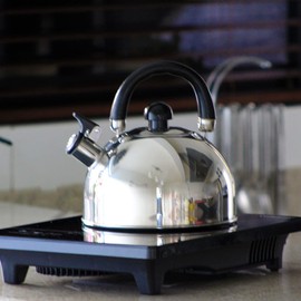 TURMIX Tetera de Acero Inoxidable de 3 litros TP-1