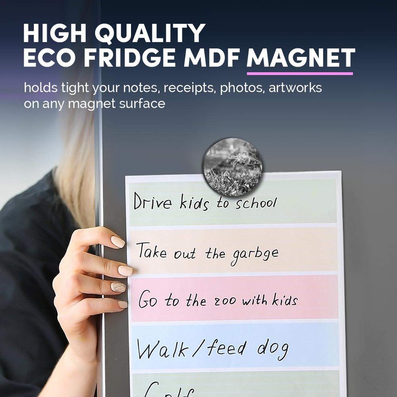 1 x Round MDF Magnet - Tortoise Turtle Jumping Frisbee