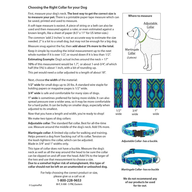 Lupine Dog Collar 3/4" Wide Aqua adjusts 13-22" Long