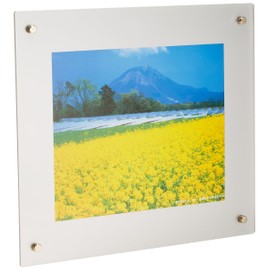 FUJICOLOR 40101 Picture Frame, Pro Frame, 6 Pieces, Acrylic, Silver