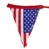 KOMBIUDA 12-pennant American Flag Banner Party Theme Decorative Triangle Bunting