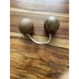 asaymanafroshop Asalato, 1 Rattle shaker Kashakas instrument, Asalatua 1 hand Medium Size