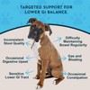 Animal Essentials Colon Rescue for Dogs & Cats - Herbal