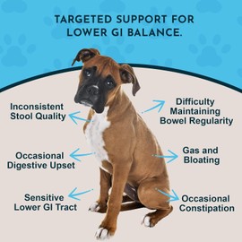 Animal Essentials Colon Rescue for Dogs & Cats - Herbal Laxative, Constipation Relief, Stool Softener with Slippery Elm, Marshmallow Root, Licorice Root - 2 Fl Oz