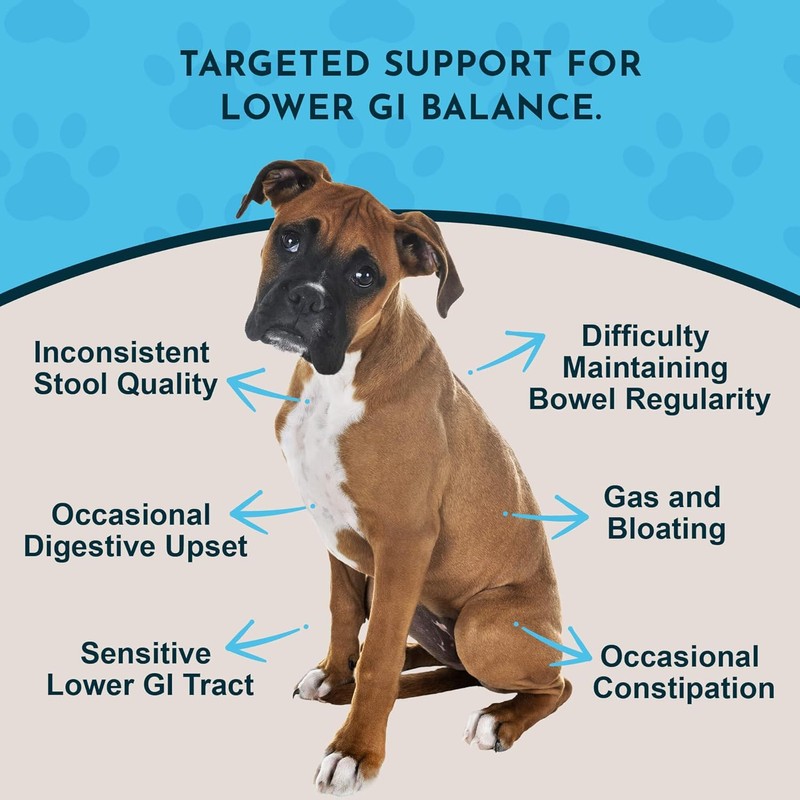 Animal Essentials Colon Rescue for Dogs & Cats - Herbal