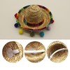 Party hats, straw woven headbands for children, pets and adults,