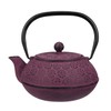 30 oz Cast Iron Teapot Enamel Lining W/Metal Infuser Tea