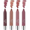 MARS Hd Pigmented Matte Lipstick Pack Of 4 (Multicolor, 15.5