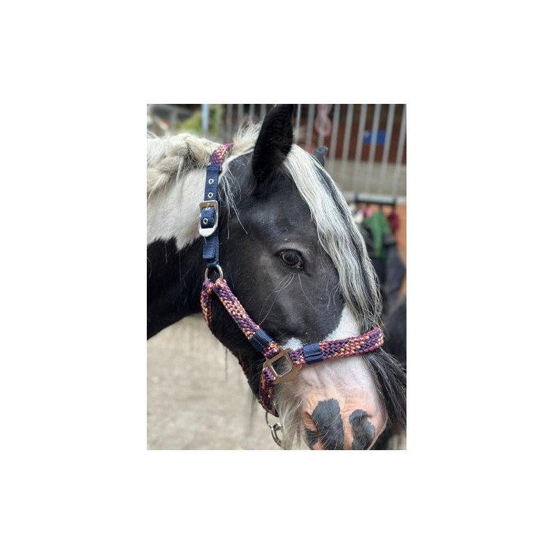 Equipride Braided Headcollar Lead Rope Set Size Full-Shetland Flame (Pony)