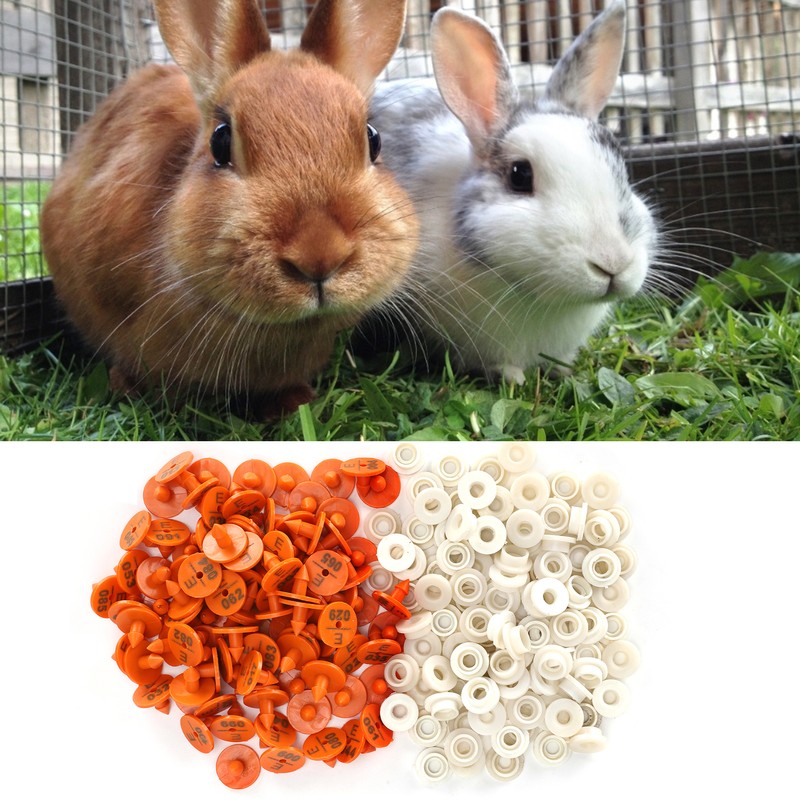 100 Sets Rabbits Ear Tag Numbered Ear Marker Animal Identification