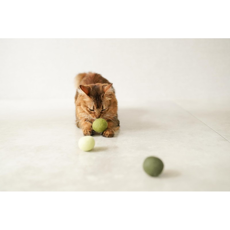 Mofu Korokoro Berry