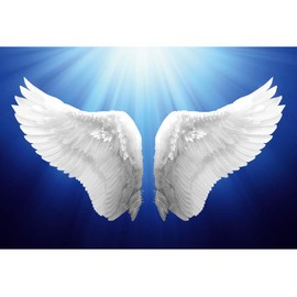 Haoyiyi 5x3ft Mother's Day Backdrop Flying White Angel Wings Sunshine Romantic Photography Background Newborn Lady Baby Shower Valentines Day Anniversary Birthday Party Artistic Photo Booth Props