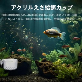 PAVIKE Aquarium Feeder Cups, Acrylic Aquatic Plant Cups, 4 Pieces, For Aquariums, Bait, Feeder, Red Bug, Fish Red, Aquarium, Aquatic Plant Pot, Strong Suction Cup, Acrylic Material, Removable, Suction