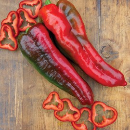 Burpee Thunderbolt' Hybrid Sweet Italian Roasting Pepper, 20 seeds