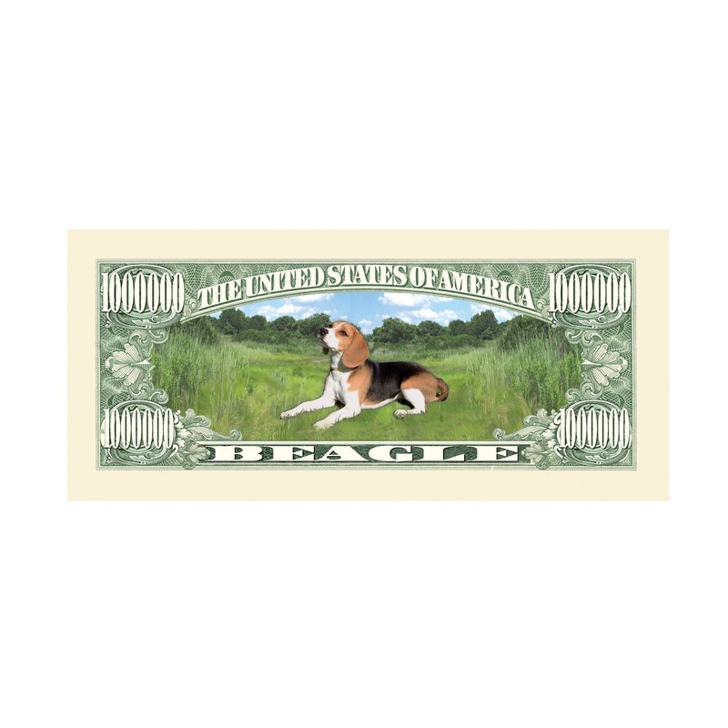 American Art Classics Beagle Dog Million Dollar Bills - (Pack
