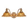 XIEDUN Tea 2 Light Vanity Light Bathroom Light Vanity Lights