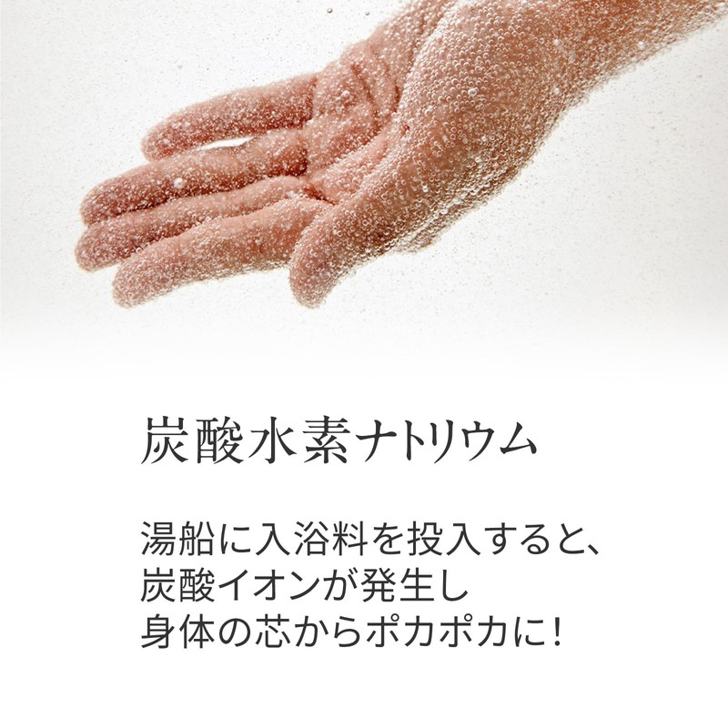 Bathing Fee for Skin Breathe [KYUSHU KIGI] 10.6 oz (300