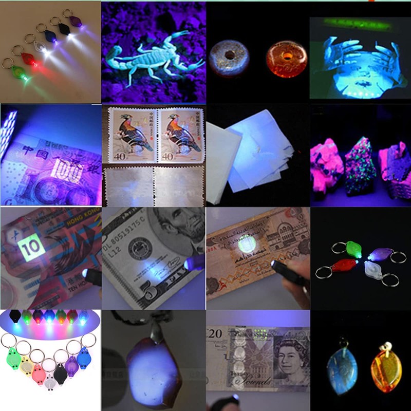 MACHSWON Mini Keychain Torches Flashlight UV Money Checker Key-Chain LED