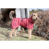Rukka Pets HAYTON WARM Raincoat for Dogs Carmine Red 60