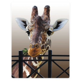 Zomer Fluffy Blanket Printed with Giraffe Motif, Grey, 150 x 200 cm