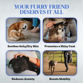 Healthy Dogma - Itchin’ for Nirvana Skin & Coat Dog Kelp Powder Supplement - Supports The Immune System, with Rich Source of Omega-3 Fatty Acids (6 Ounce)