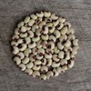 Pink-Eyed Purple Hull Cowpea - 50 Seeds - Heirloom Variety,