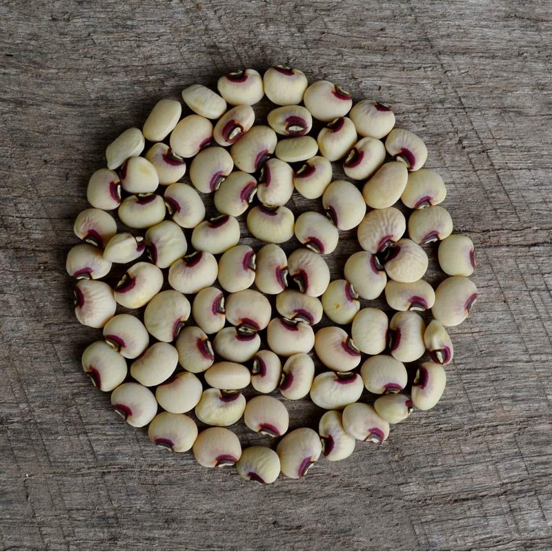 Pink-Eyed Purple Hull Cowpea - 50 Seeds - Heirloom Variety,
