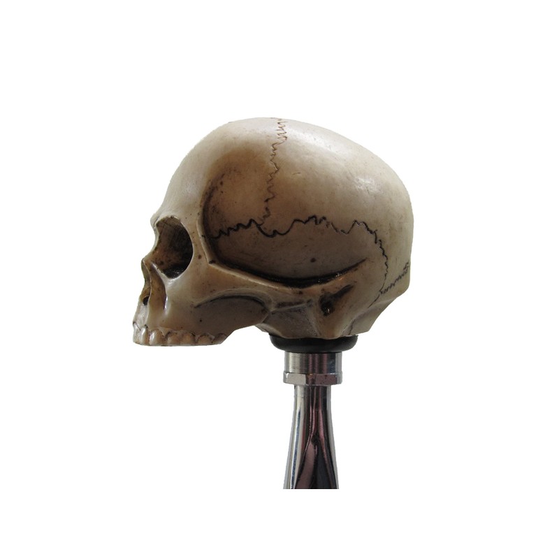 Kool Collectibles No Jaw Skull Head Shifter Shift Knob Rat