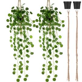 Folmywy 2 Pack Artificial Hanging Plants Vines with Pot Fake Greenery Potted Plant Eucalyptus Leaves Decoration for Indoor Outdoor Wall House Room Patio Bookshelf Office Party Decor