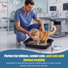 Uiifan Low Entry Cat Litter Box, Black Gray, 16.9 x