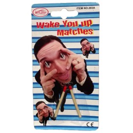 WAKE YOU UP MATCHES Office Eye Gag Hard Rubber Fake Match Joke Gag Prank Stunt