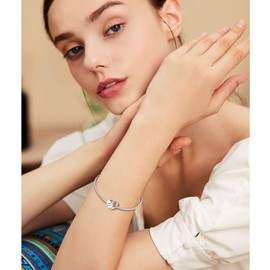 925 Sterling Silver Heart Love with 3D Rose Flower Charms Beads for Bracelets Necklaces Wedding Valentine's Day Mother's Day Christmas Gift Jewelry for Wife Mom Sister Family Best Friends, Sterling Silver Cubic Zirconia stone, No Gemstone