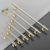 Asidrama 10 Pack 3 Inch(76mm) Brushed Satin Nickel and Gold