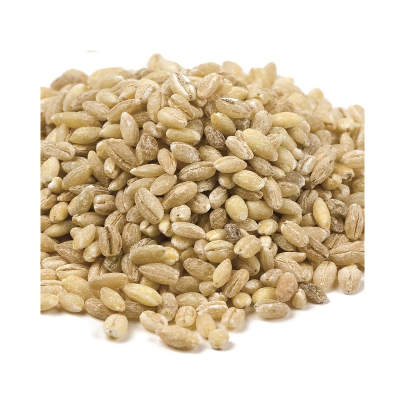 Hulled Barley, Yankee Traders Brand - 1 Pound, Resealable Bag