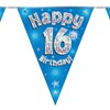 16th Birthday Blue Birthday Party Flag Banner Bunting Age 16