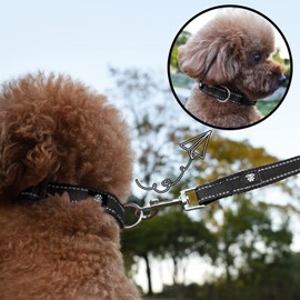 NESTROAD Reflective Dog Collar and Leash Set,Soft Neoprene Pet Collar with Quick Release Buckle,Adjustable Nylon Dog Collars for Small Medium Large Dogs(Small Collar + 5FT Leash,Black)
