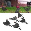 5Pcs Chicken Stakes Set Acrylic Animal Shape Statues Decoration for