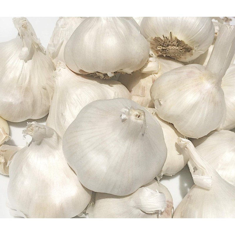 Fresh Garlic Bulbs Home Grown in CA,USA. - Qty :