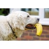 Petface Latex Banana Soft Chew Dog Toy, Large