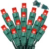 LAMPHOME 50LED String Lights,LED Christmas Lights,6" SPACING,Green Wire,RED Colour,Commercial Grade