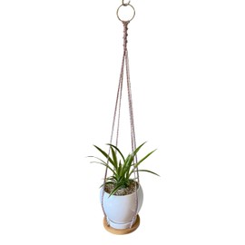 ATLanyards Rainbow Hanging Plant Shelf | Rainbow Plant Hanger | Rainbow Floating Plant Shelf | Rainbow Macrame Plant Holder | Kid Room Decor | Pride Decor |330 (28" Long with Metal Ring)