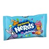 Big Chewy NERDS Jelly Beans | Assorted Candy Flavors of