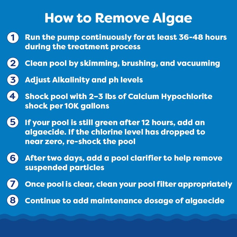 In The Swim Algaecide 60 Plus for Swimming Pools -