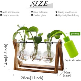 generic Plant Terrarium with Wooden Stand, Air Planter Bulb Glass Vase Metal Holder