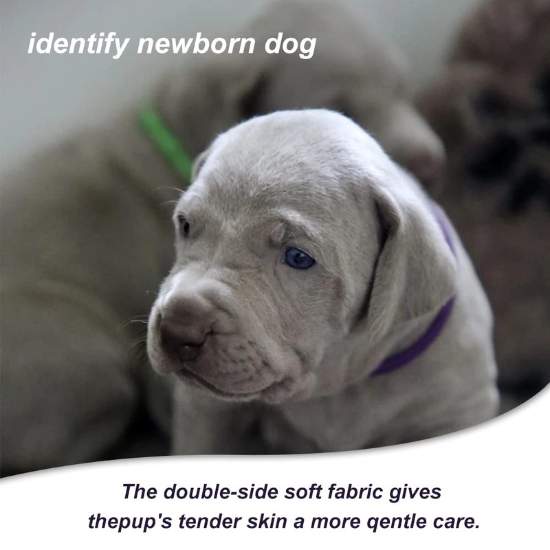 30Pcs Puppy Whelping Collars, Newborn Pet Collars, Adjustable Identification Collar,